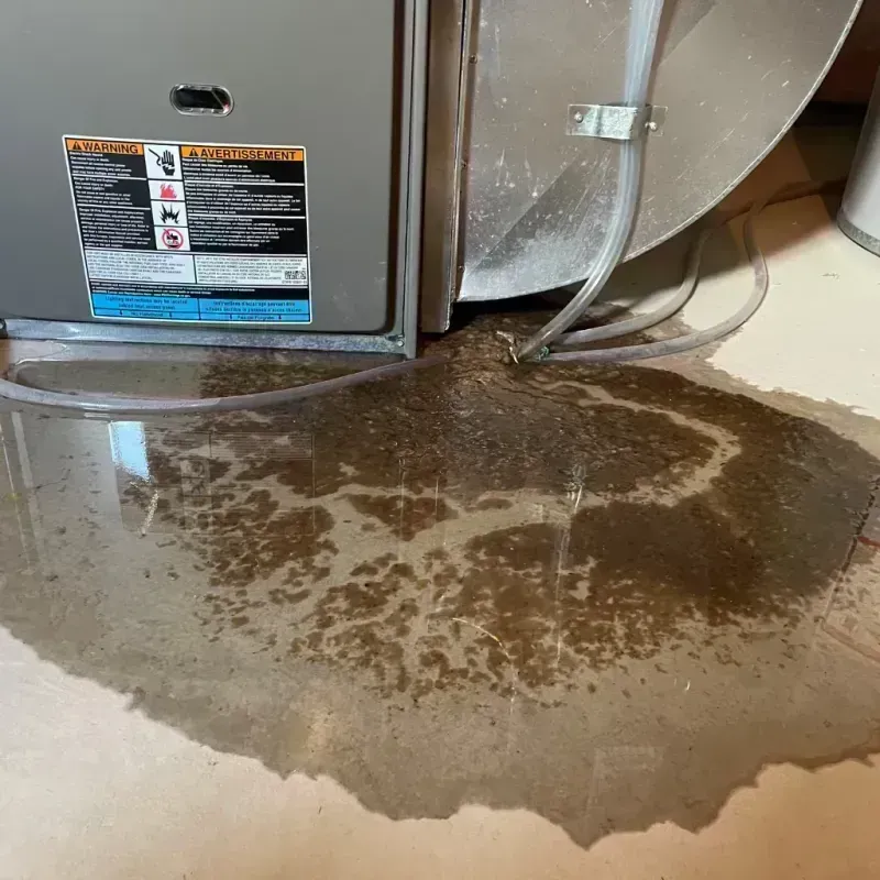 Appliance Leak Cleanup in Dunklin County, MO